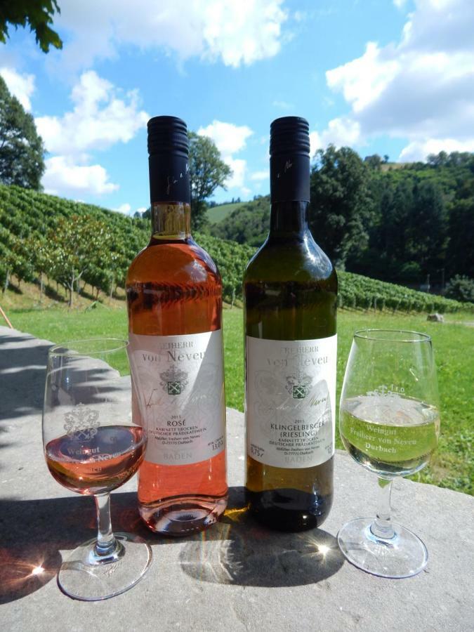 Wein Lodge Durbach - Schlossblick Esterno foto
