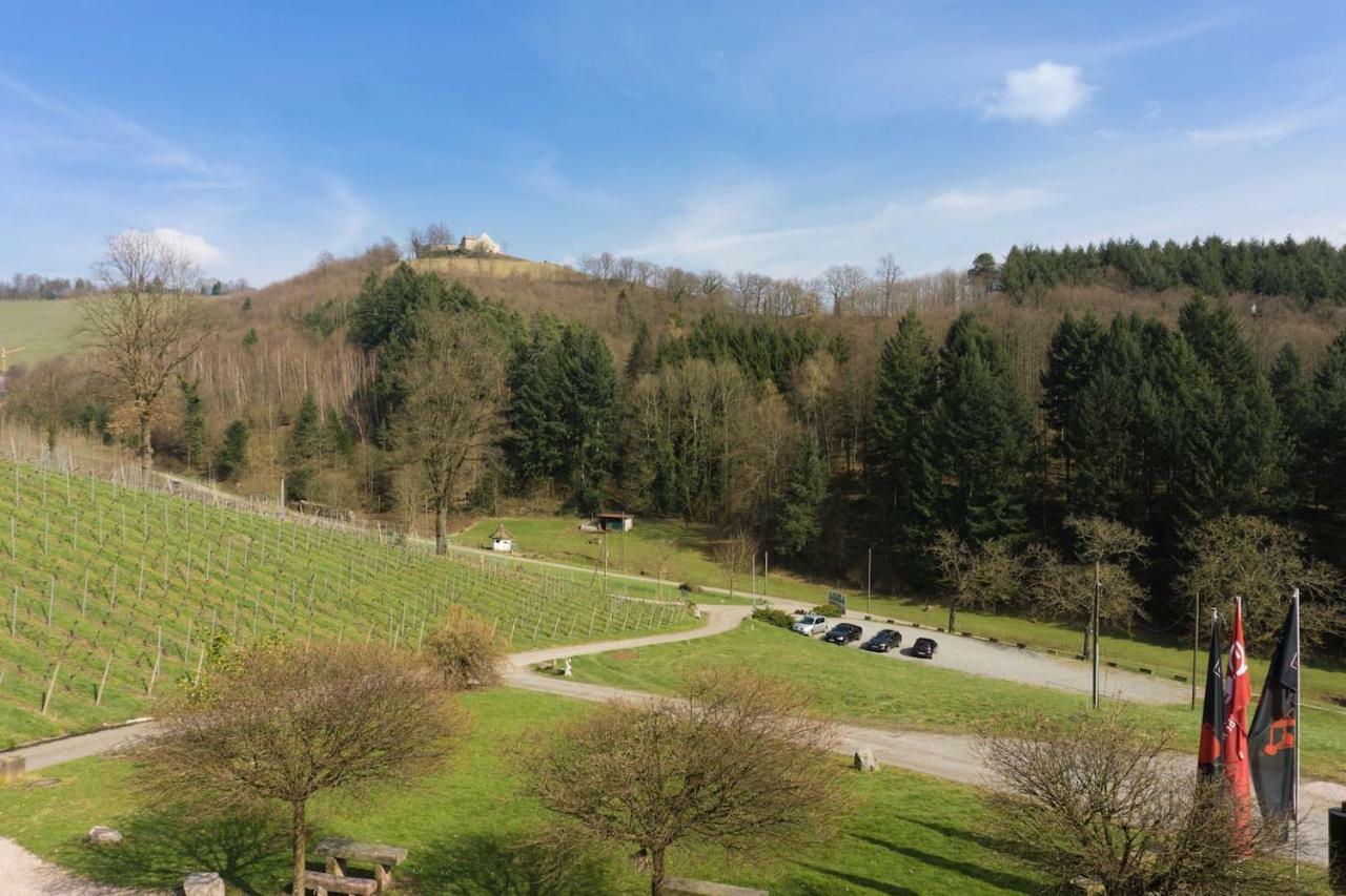 Wein Lodge Durbach - Schlossblick Esterno foto