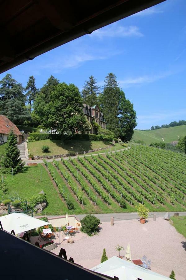 Wein Lodge Durbach - Schlossblick Esterno foto