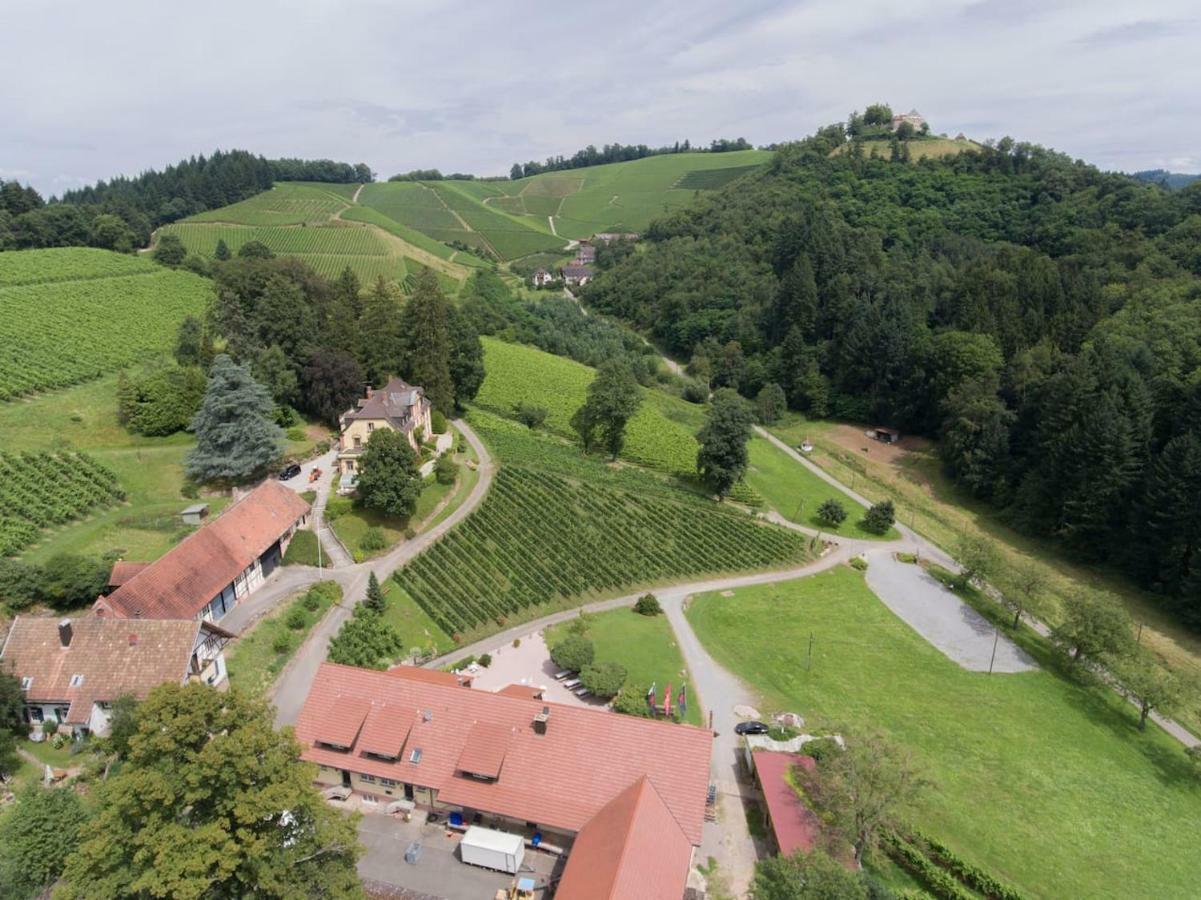 Wein Lodge Durbach - Schlossblick Esterno foto